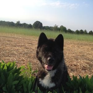 Meet your Posher, Casey